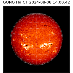 gong - 2024-08-08T14:00:42