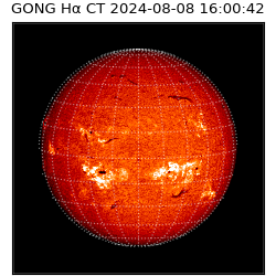 gong - 2024-08-08T16:00:42