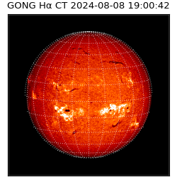 gong - 2024-08-08T19:00:42