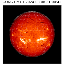 gong - 2024-08-08T21:00:42