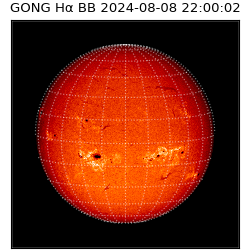 gong - 2024-08-08T22:00:02