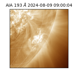 saia - 2024-08-09T09:00:04.838000