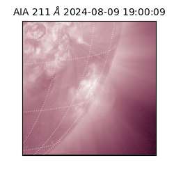 saia - 2024-08-09T19:00:09.629000