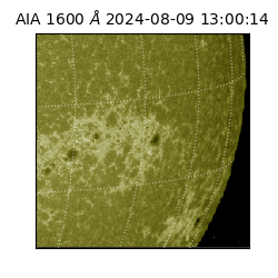 saia - 2024-08-09T13:00:14.126000