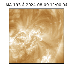 saia - 2024-08-09T11:00:04.846000