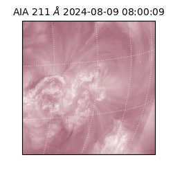 saia - 2024-08-09T08:00:09.626000