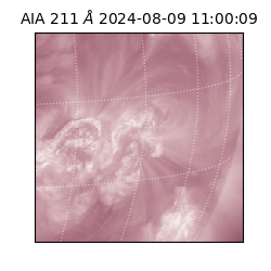 saia - 2024-08-09T11:00:09.630000