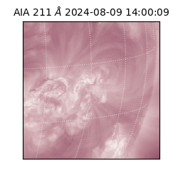 saia - 2024-08-09T14:00:09.626000