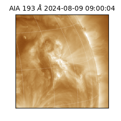 saia - 2024-08-09T09:00:04.838000
