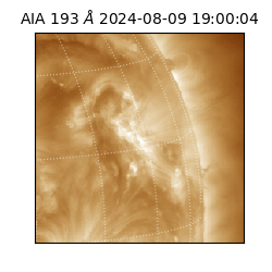 saia - 2024-08-09T19:00:04.843000