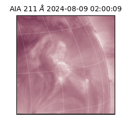 saia - 2024-08-09T02:00:09.632000