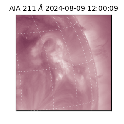 saia - 2024-08-09T12:00:09.632000