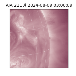saia - 2024-08-09T03:00:09.639000
