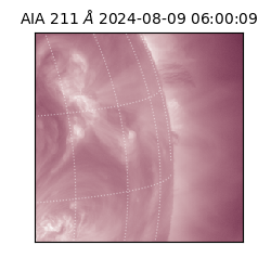 saia - 2024-08-09T06:00:09.631000