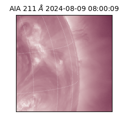 saia - 2024-08-09T08:00:09.626000