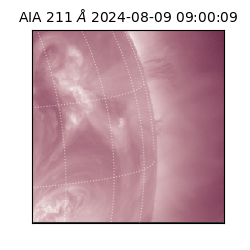saia - 2024-08-09T09:00:09.631000