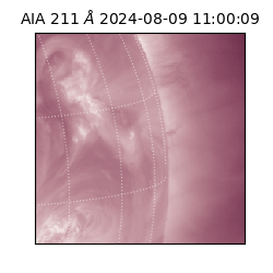 saia - 2024-08-09T11:00:09.630000