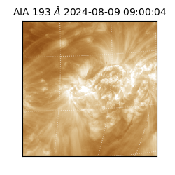 saia - 2024-08-09T09:00:04.838000
