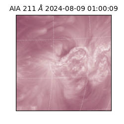 saia - 2024-08-09T01:00:09.632000