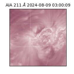 saia - 2024-08-09T03:00:09.639000