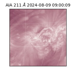 saia - 2024-08-09T09:00:09.631000