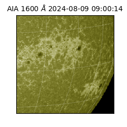 saia - 2024-08-09T09:00:14.122000