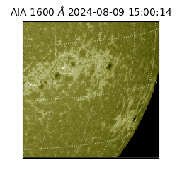 saia - 2024-08-09T15:00:14.126000