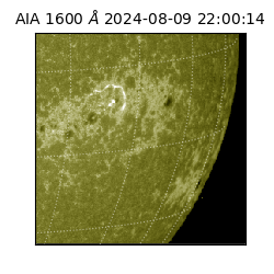saia - 2024-08-09T22:00:14.126000
