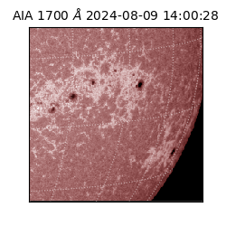 saia - 2024-08-09T14:00:28.717000