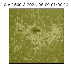 saia - 2024-08-09T01:00:14.126000