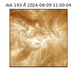 saia - 2024-08-09T11:00:04.846000