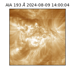 saia - 2024-08-09T14:00:04.843000