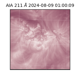 saia - 2024-08-09T01:00:09.632000