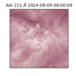 saia - 2024-08-09T08:00:09.626000