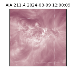 saia - 2024-08-09T12:00:09.632000