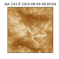 saia - 2024-08-09T08:00:04.843000
