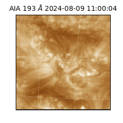 saia - 2024-08-09T11:00:04.846000