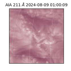 saia - 2024-08-09T01:00:09.632000