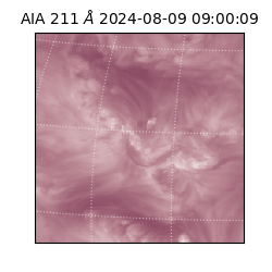 saia - 2024-08-09T09:00:09.631000