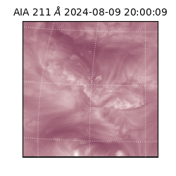 saia - 2024-08-09T20:00:09.618000