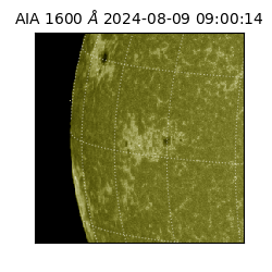 saia - 2024-08-09T09:00:14.122000