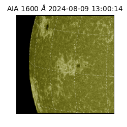 saia - 2024-08-09T13:00:14.126000