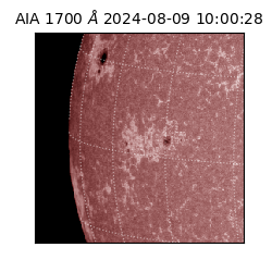 saia - 2024-08-09T10:00:28.710000