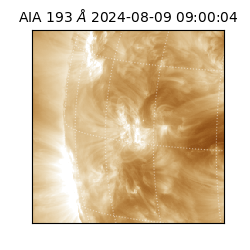 saia - 2024-08-09T09:00:04.838000