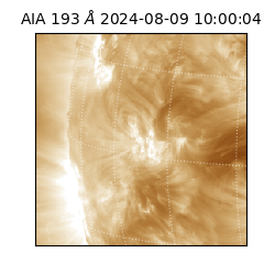 saia - 2024-08-09T10:00:04.846000