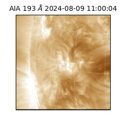 saia - 2024-08-09T11:00:04.846000