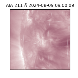 saia - 2024-08-09T09:00:09.631000