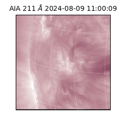 saia - 2024-08-09T11:00:09.630000