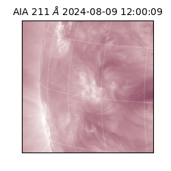 saia - 2024-08-09T12:00:09.632000