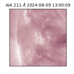 saia - 2024-08-09T13:00:09.626000